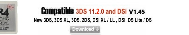r4 3ds dual core 2013 firmware